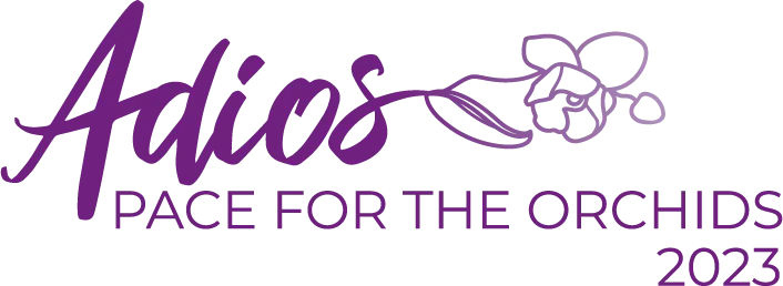 Adios logo 2023 color.png