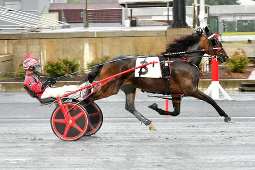Kodack Black 6-21-23