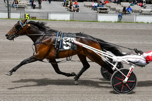Spencer Hanover 5-25-26