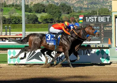 Nysos edges Nevada Beach in Laffit Pincay Jr. Stakes