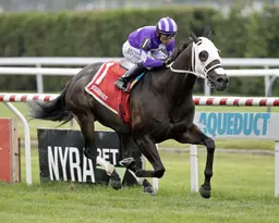 Waralo at home on grass in Ashley T. Cole Stakes