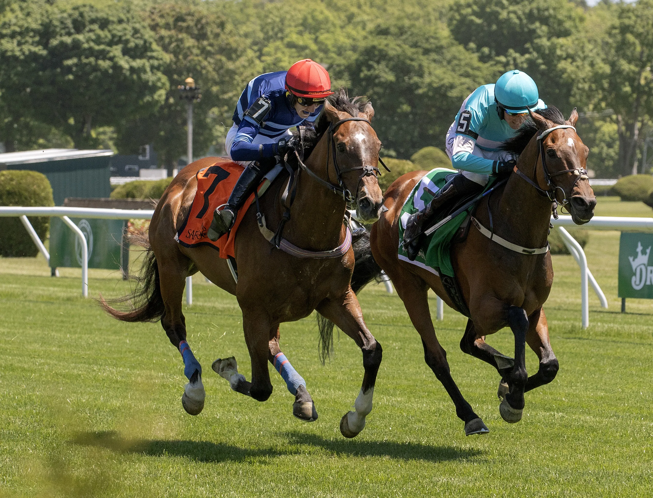 Jimmy P will target Jonathan Sheppard three-peat