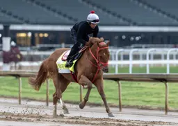 The Puma back at home; pointing toward Haskell, Travers