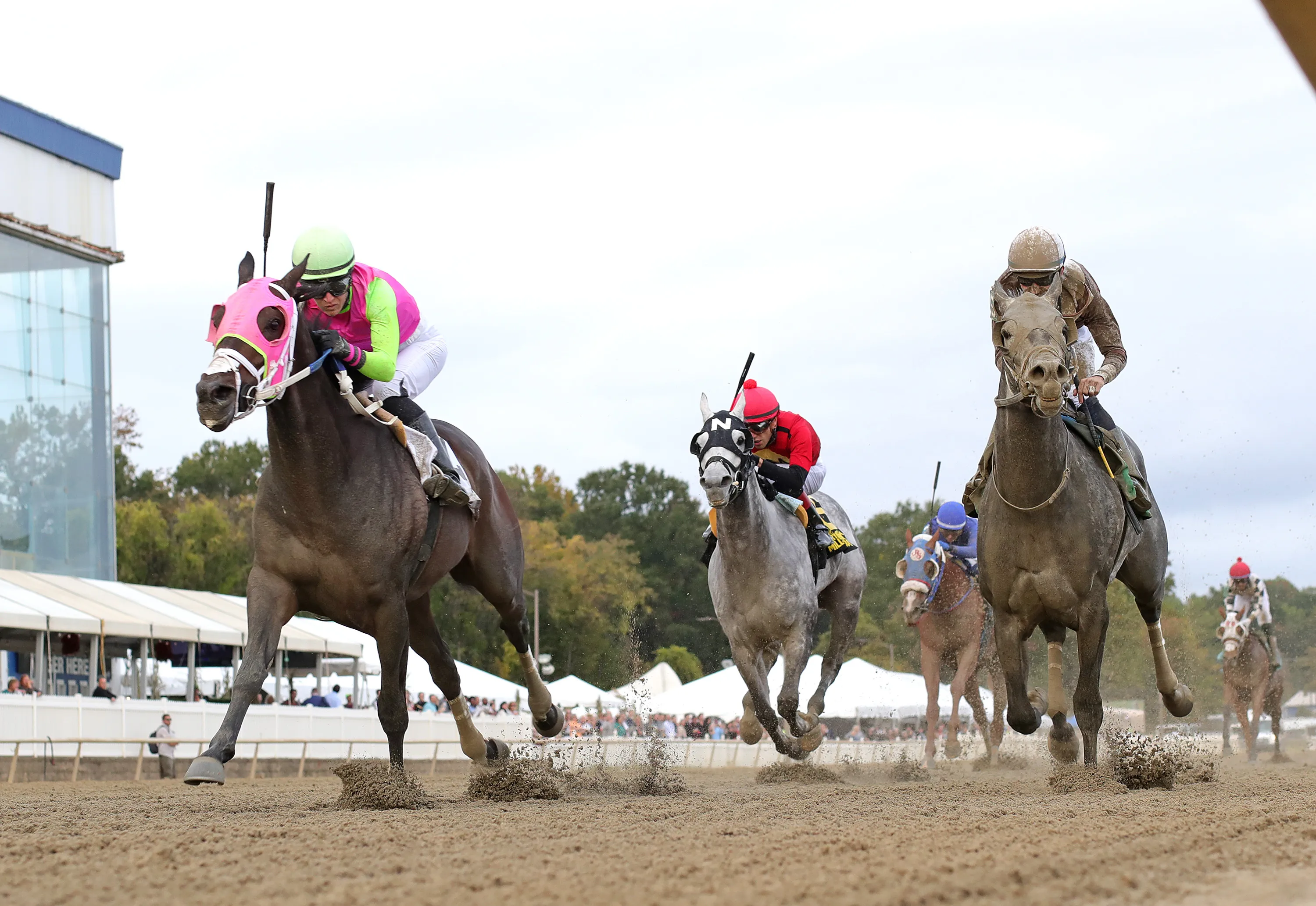 Barbadian Runner01.10.11.25.EQUI-PHOTO.jpg