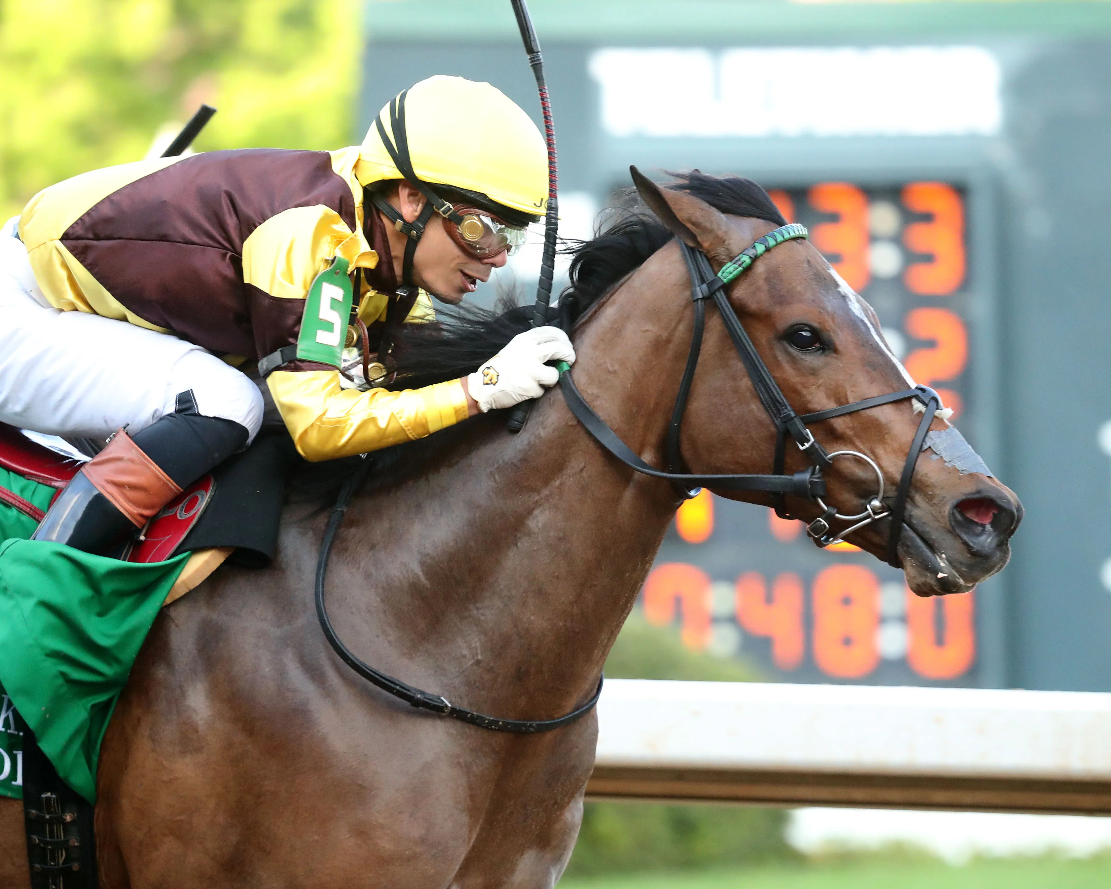 QUIETSIDE - Fantasy Stakes G2 - 03-29-25 - R12 - Oaklawn Park - Finish 04 - McCarlee Perkins.jpg