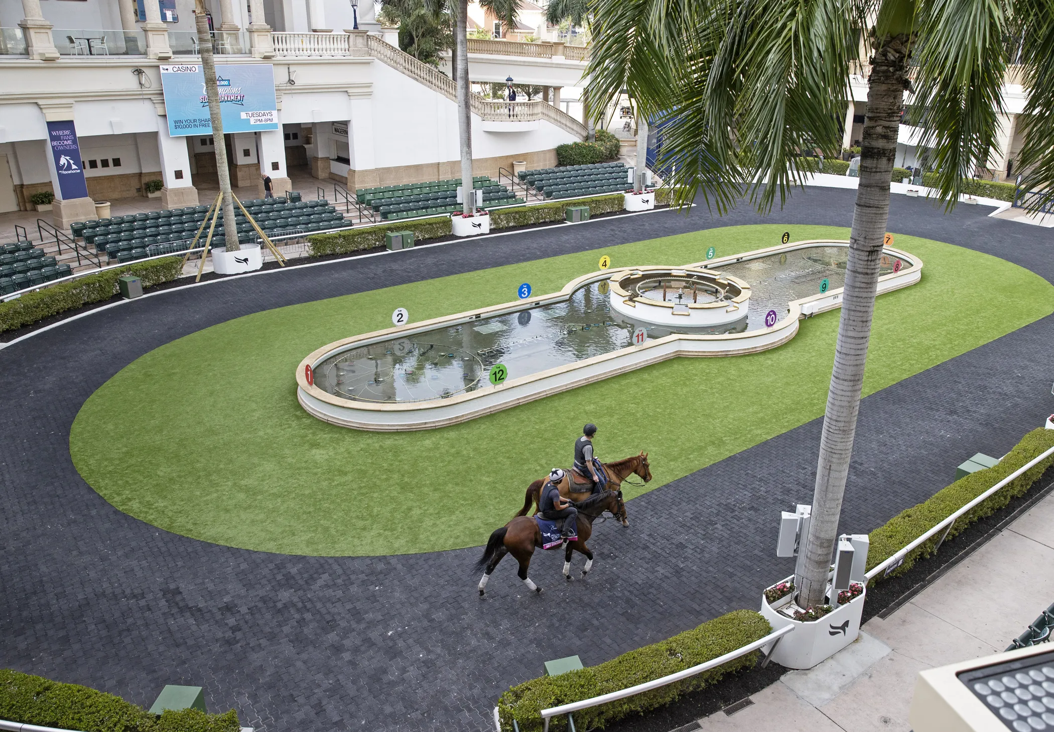 Gulfstream.Art Collector.Paddock schooling Jan 26 2023.BL_.jpg