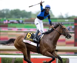 Phileas Fogg notches second consecutive Suburban Stakes