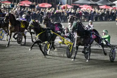 Woodbine Mohawk Park: 2026 stakes schedule released