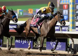 Super Corredora back in training