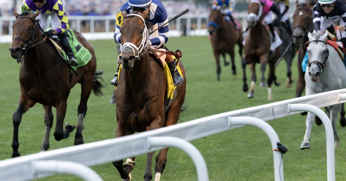 Stark Contrast headed to Saratoga for Belmont Derby