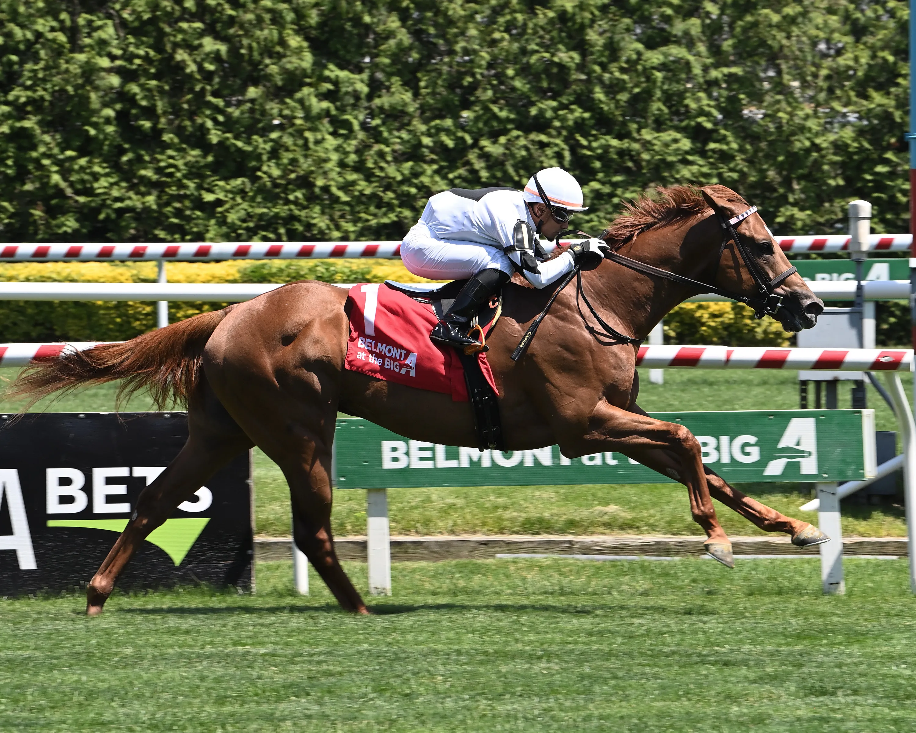 the big torpedo the nyss credit susie raisher2.jpg