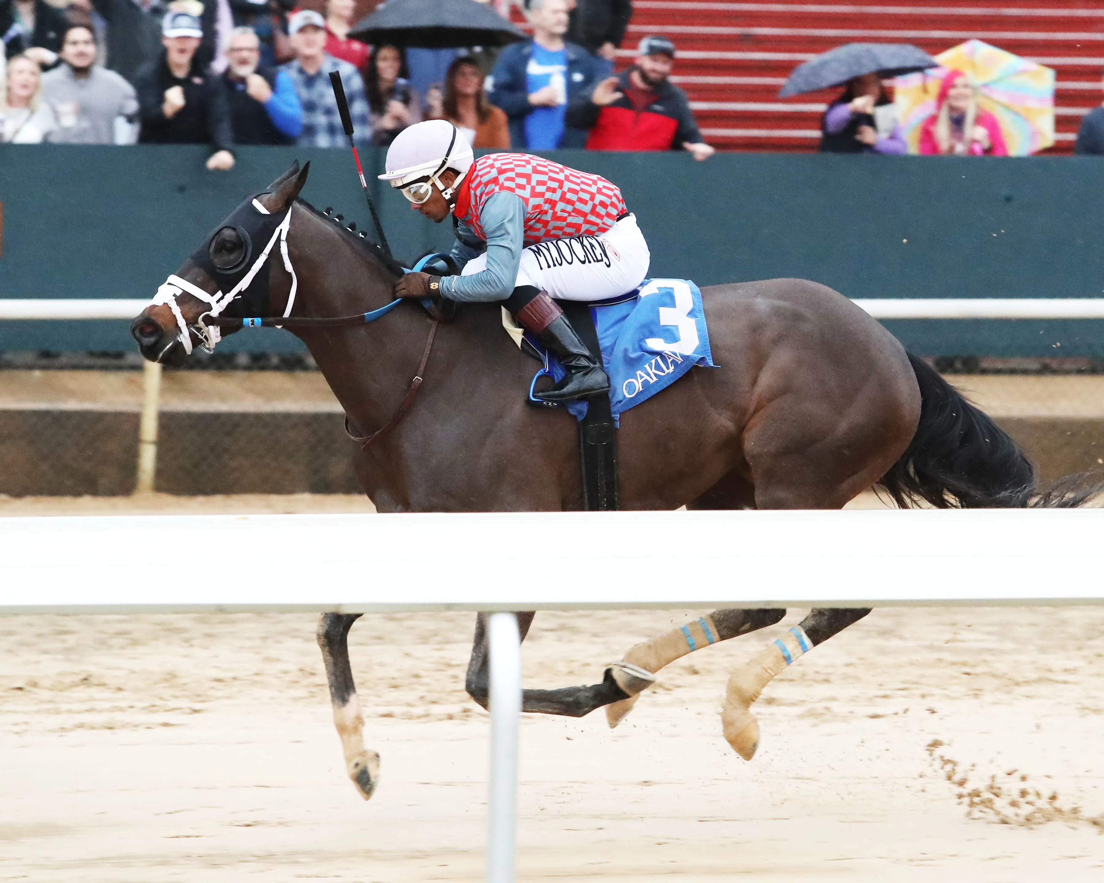 Tapatio Leo wins at OP Feb 10 2024