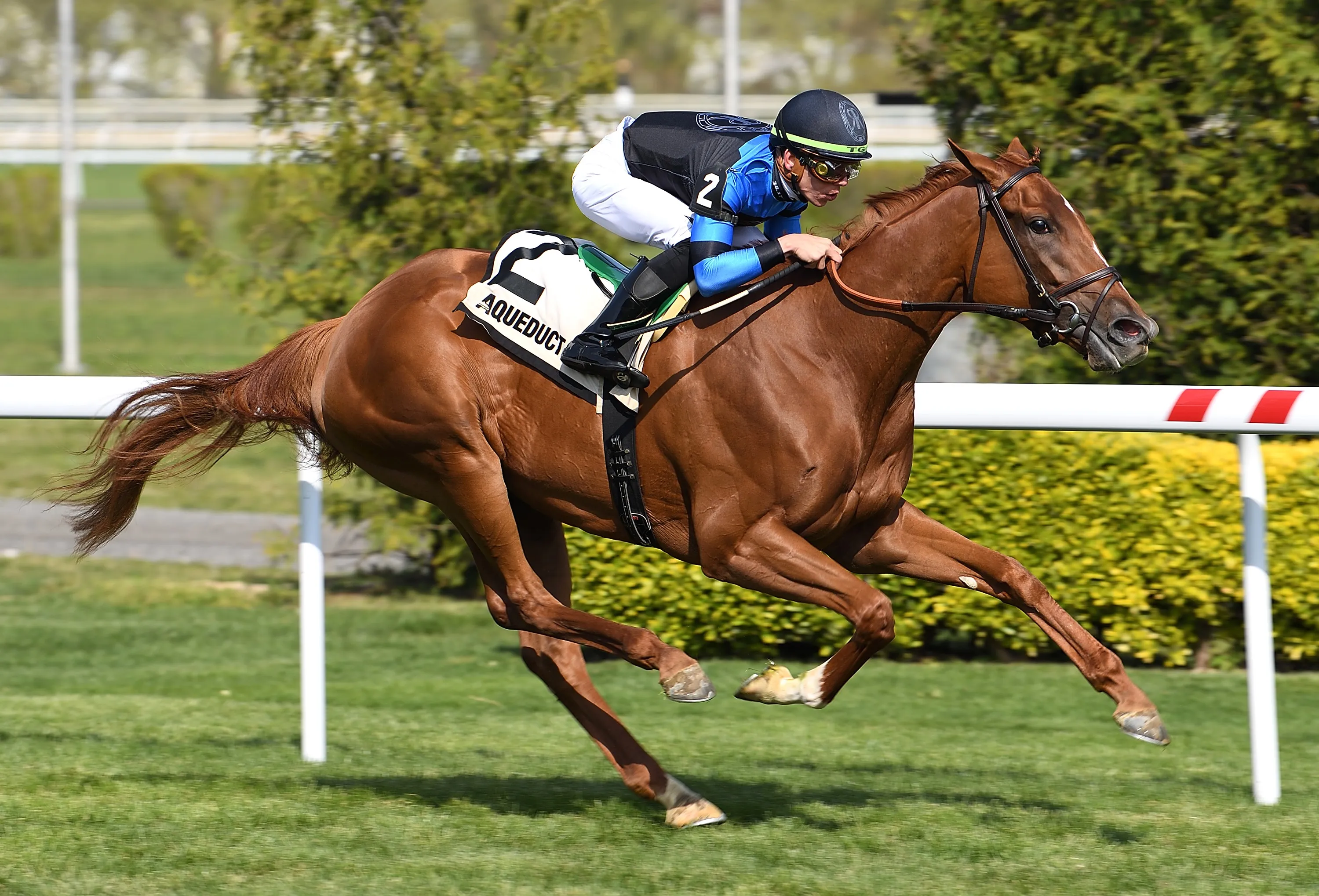 Sweet Rebecca wins the Memories of Silver at AQU April 28 2024