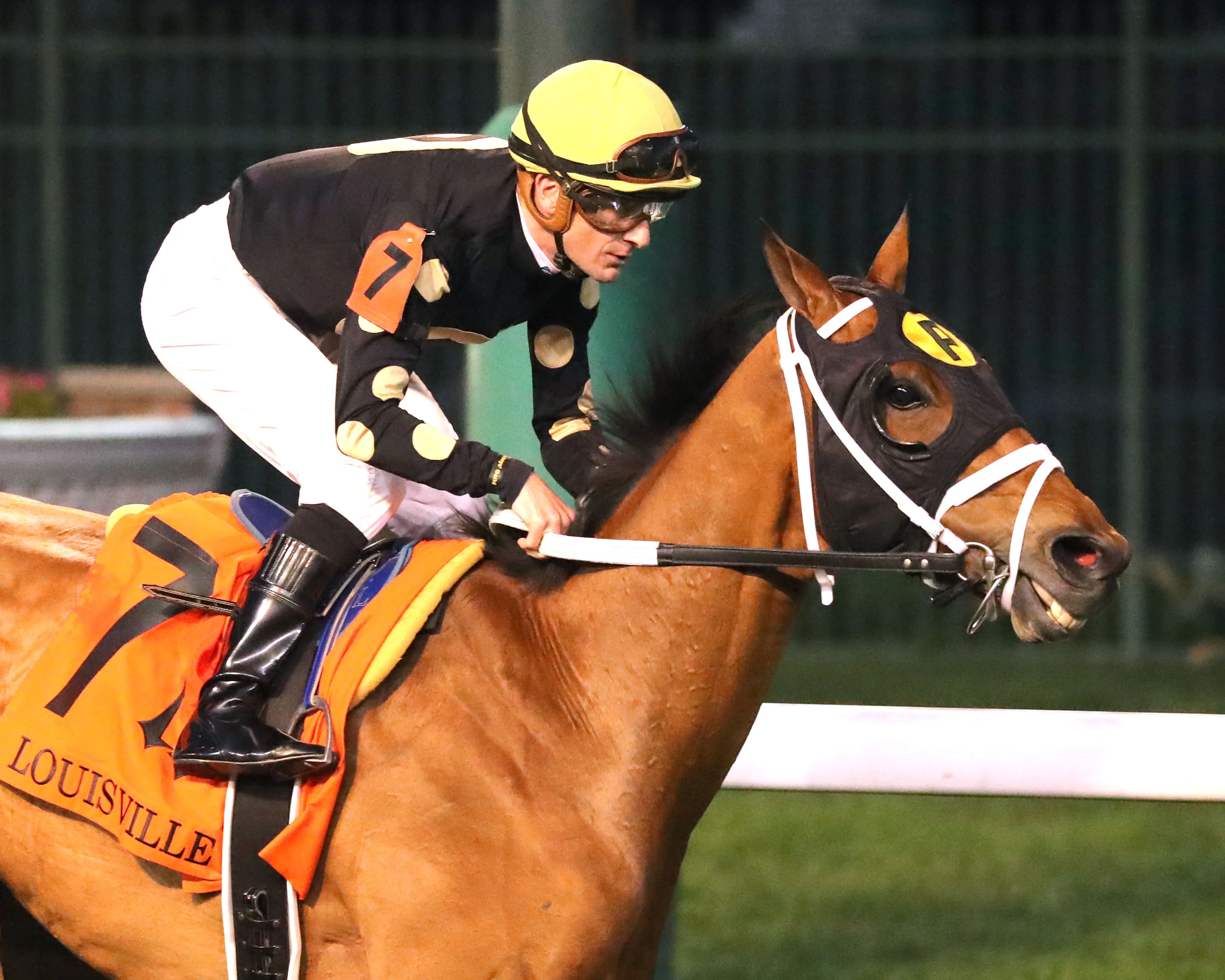 SUGOI - The Louisville Stakes G3 - 87th Running - 05-18-24 - R07 - Churchill Downs - Finish 03.jpg