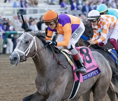 Undefeated Ted Noffey has first work of year; on track to make Fountain of Youth