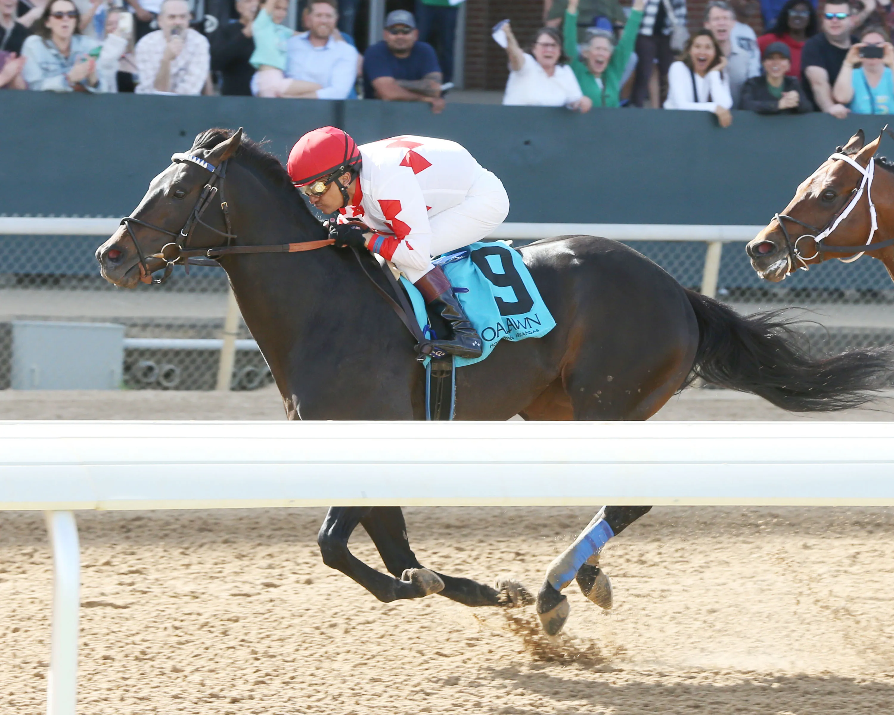 EDGE TO EDGE - The Eclipse Stakes - 1st Running - 04-07-24 - R08 - Oaklawn Park - Inside Finish 01.jpg