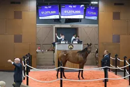 Fasig-Tipton Midlantic 2-year-old sale sets records despite new breeze-up format