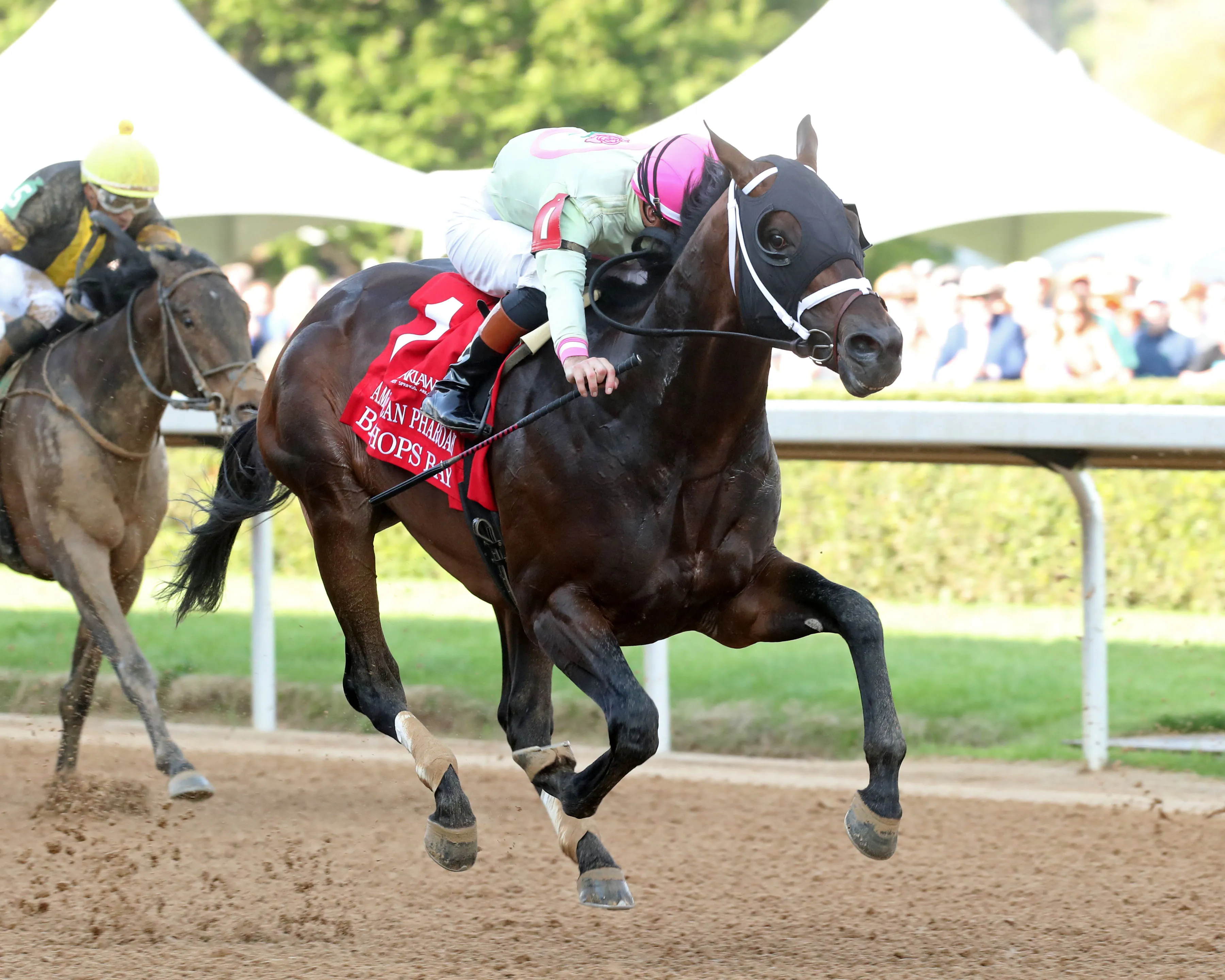 BISHOPS BAY - American Pharoah Overnight Stakes - 03-29-25 - R11 - Oaklawn Park - Finish 02 - Renee Torbit.jpg