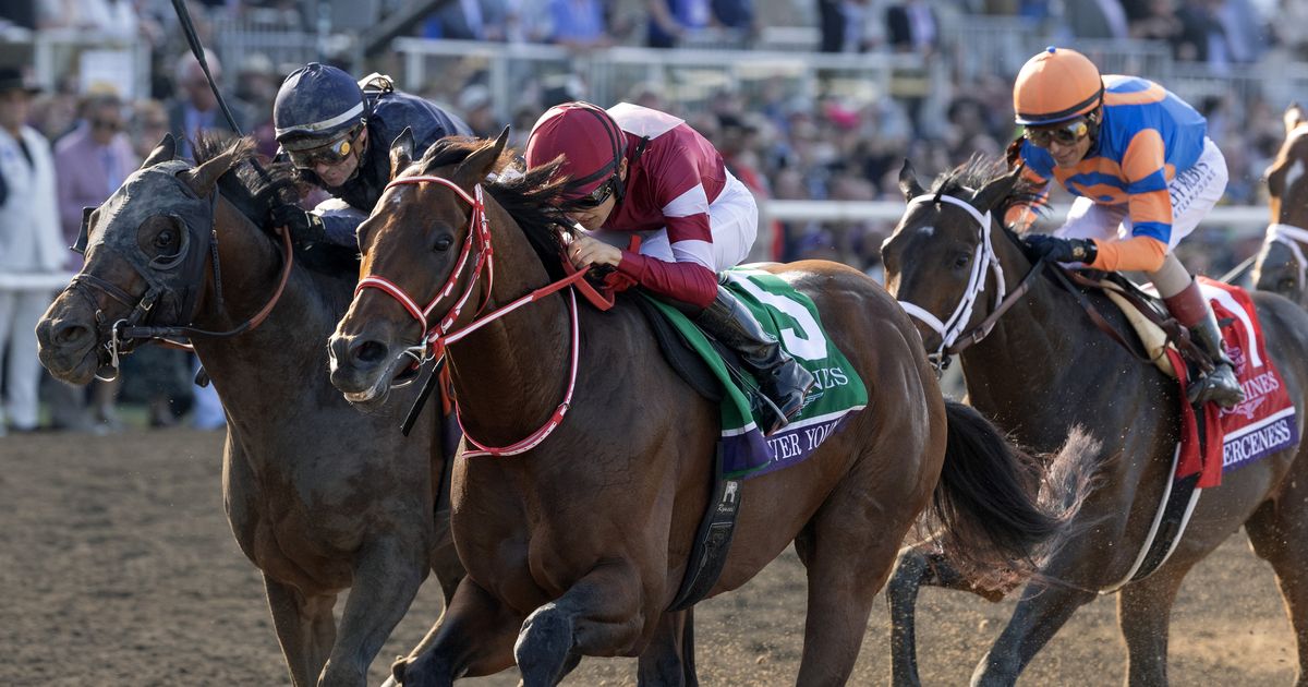 Breeders' Cup Classic: Forever Young leads familiar top three across ...