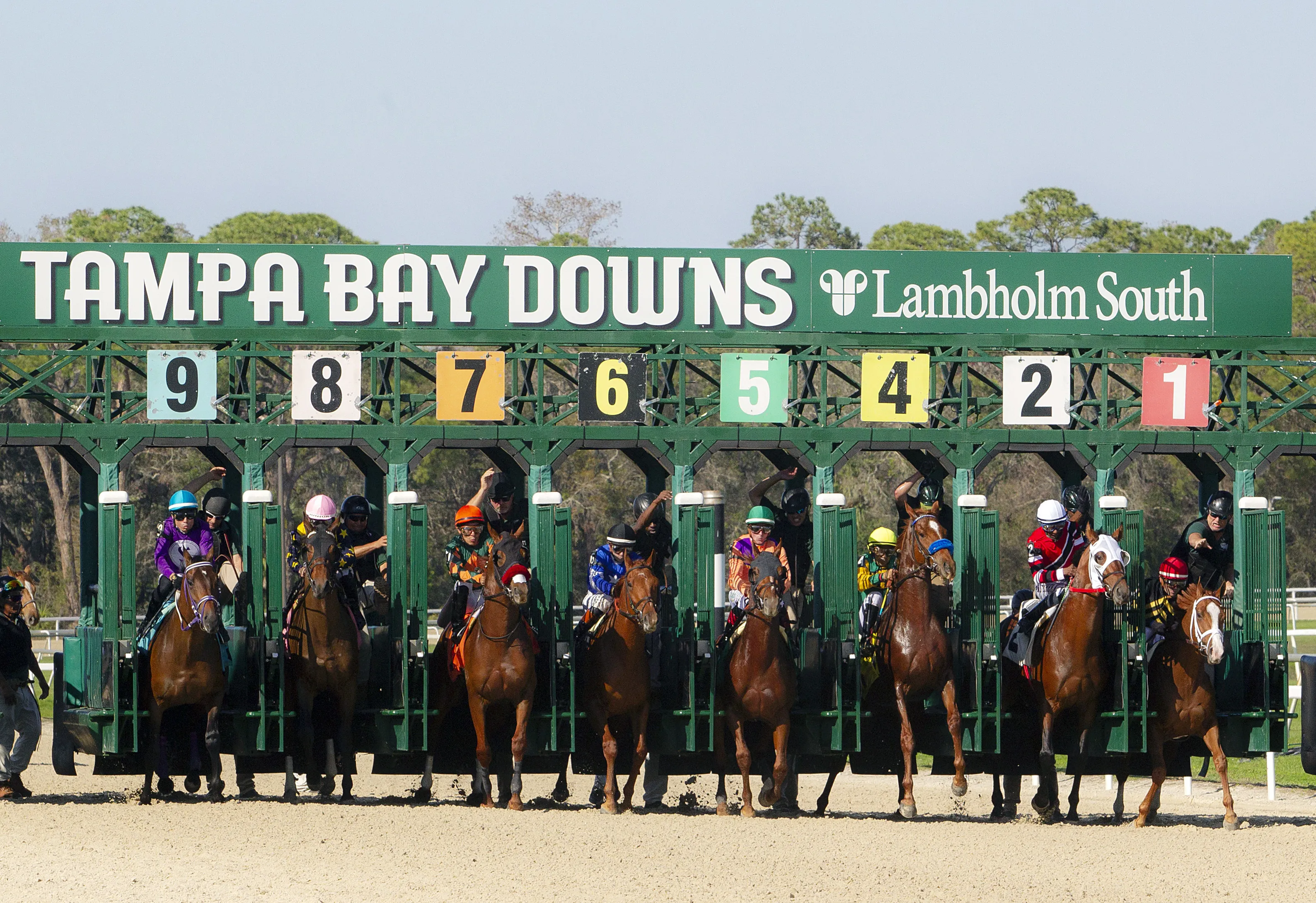 TampaBayDowns07.2-8-25.TK_.jpg