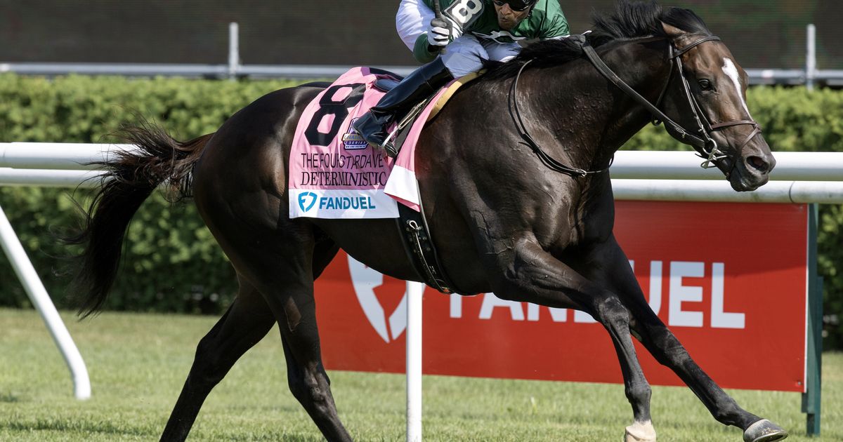 Deterministic on track for Fourstardave after 'spectacular' work