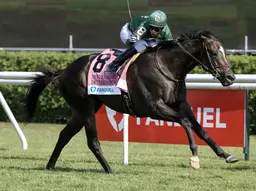 Deterministic on track for Fourstardave after 'spectacular' work