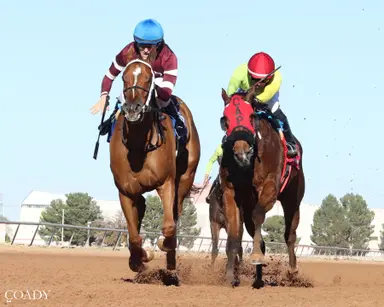 Wakuda goes for three in a row in Mockingbird