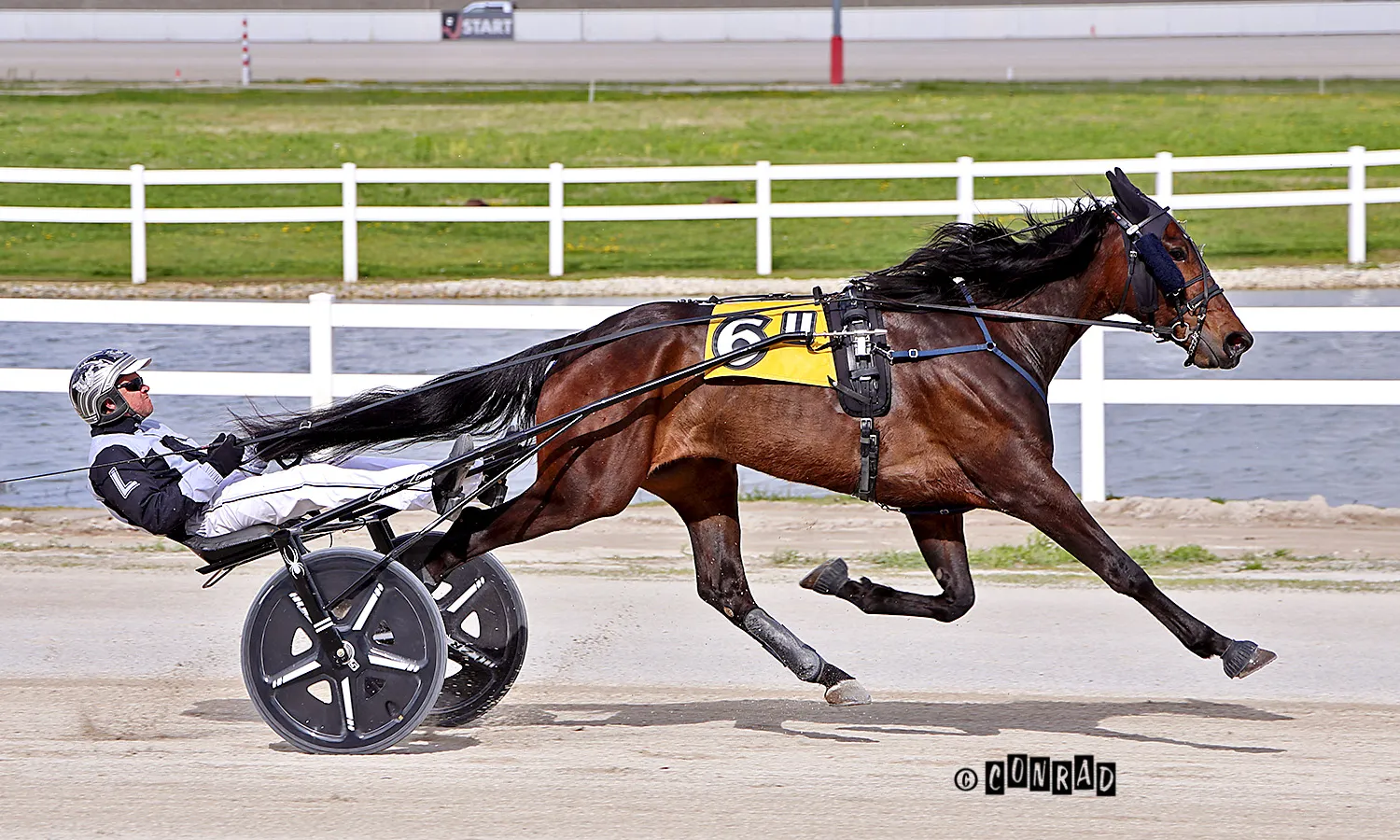 tom largo_5-2-26_OHSS_Conrad.jpg