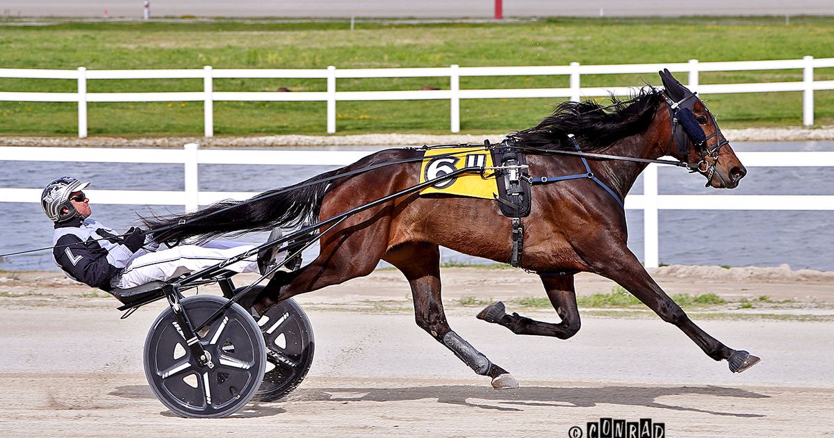 Scioto Downs: Tom Largo tackles Big Ranger in search of perfect start ...