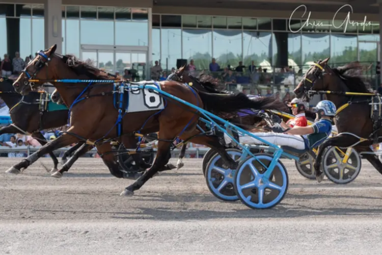 Prince Hal Hanover 7-26-25