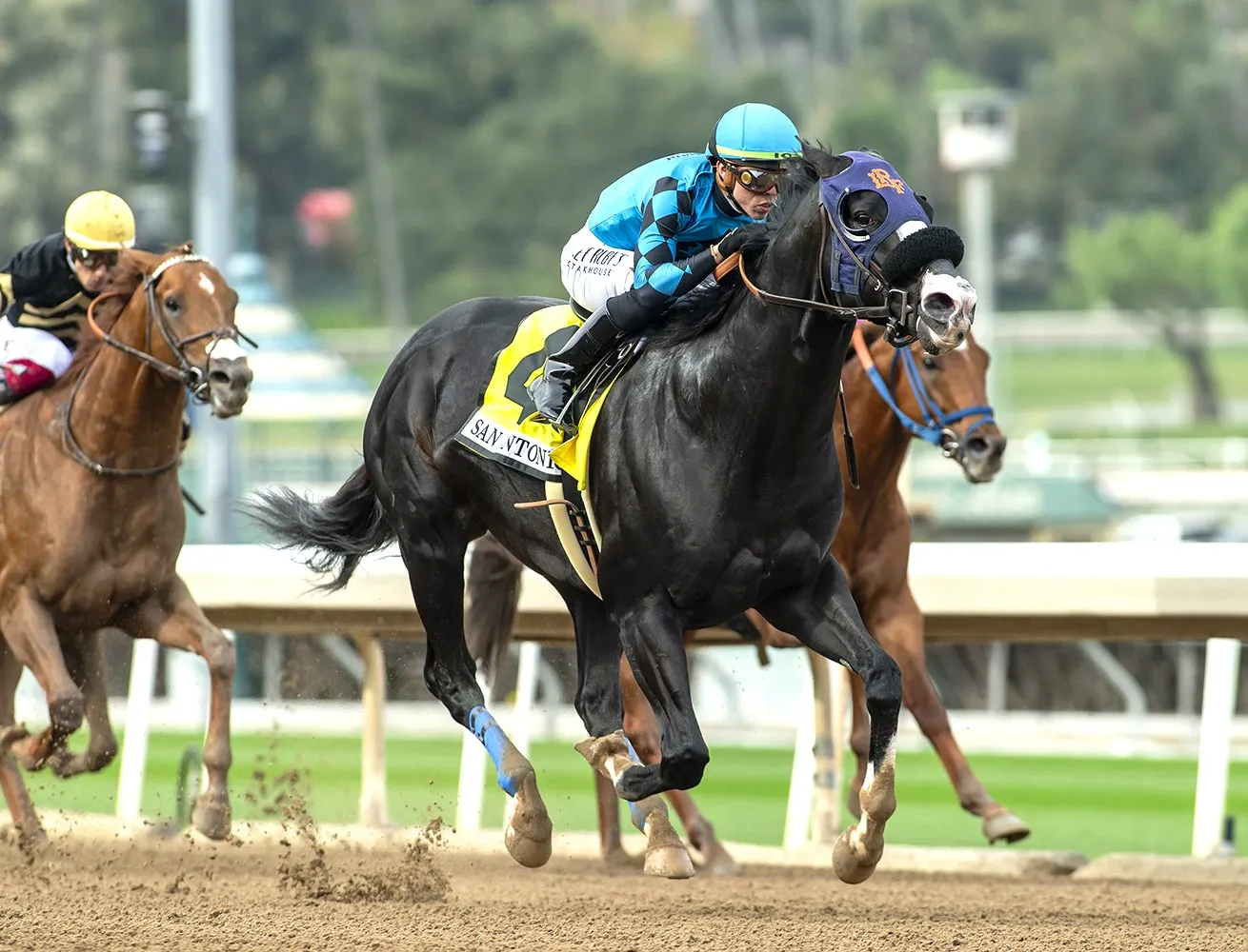 Newgrange wins San Antonio at SA Dec 26 2023