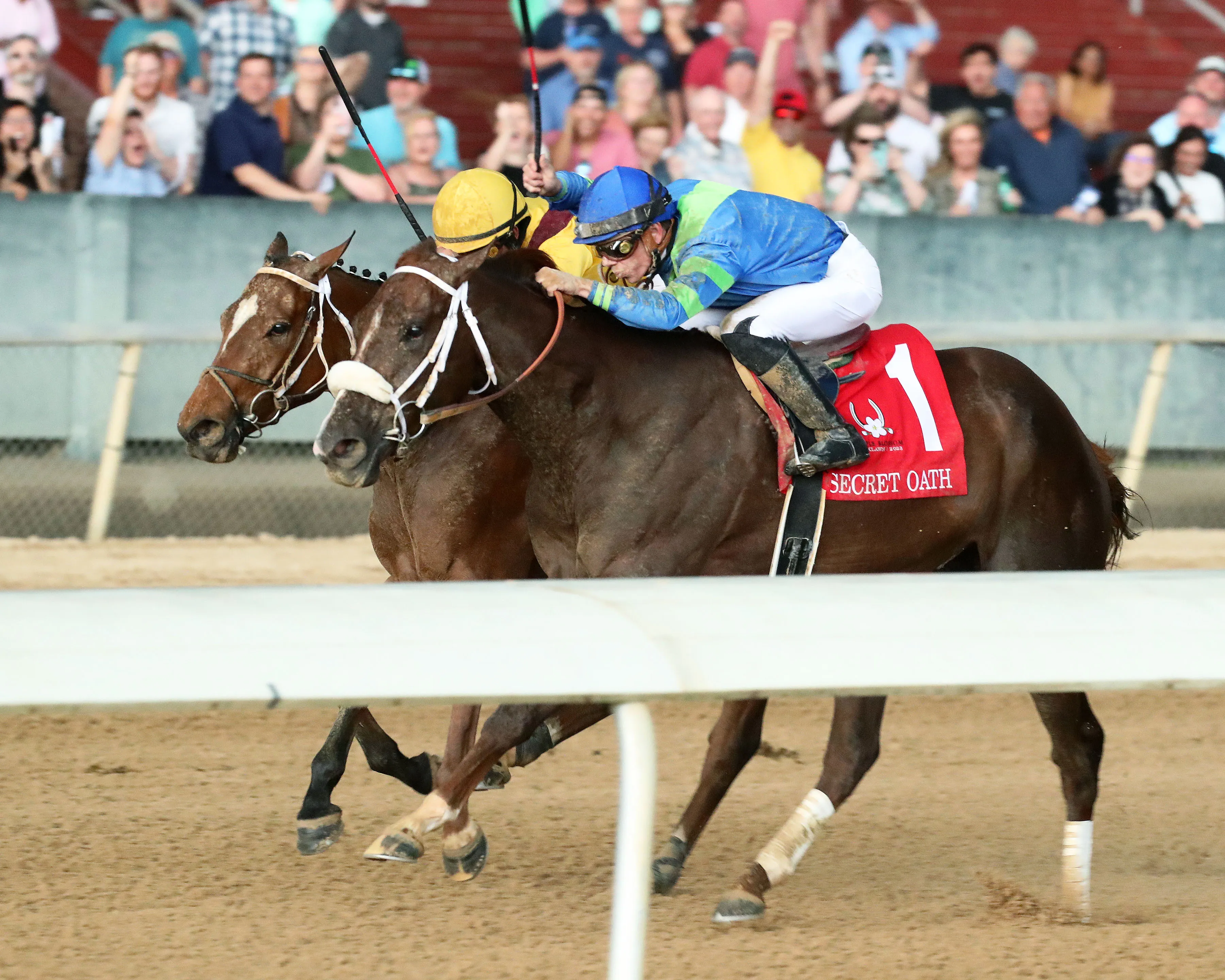 CLAIRIERE - The Apple Blossom Handicap - 59th Running - 04-15-23 - R11 - Oaklawn Park - Inside Finish 01.jpg