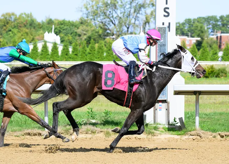 Dynamic Vision wins Emerald Vision at TDN Oct 9 2025