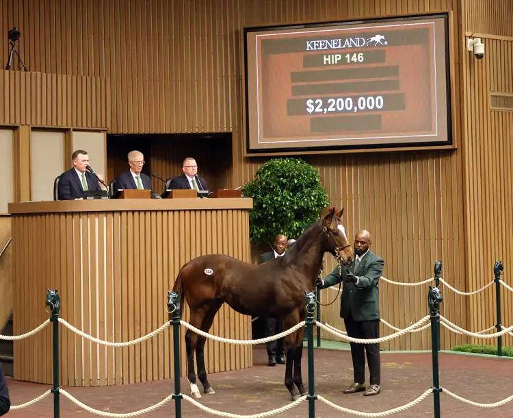 Keeneland November.Hip 146.2.2 million.Gunner Runner colt Nov 4 2025