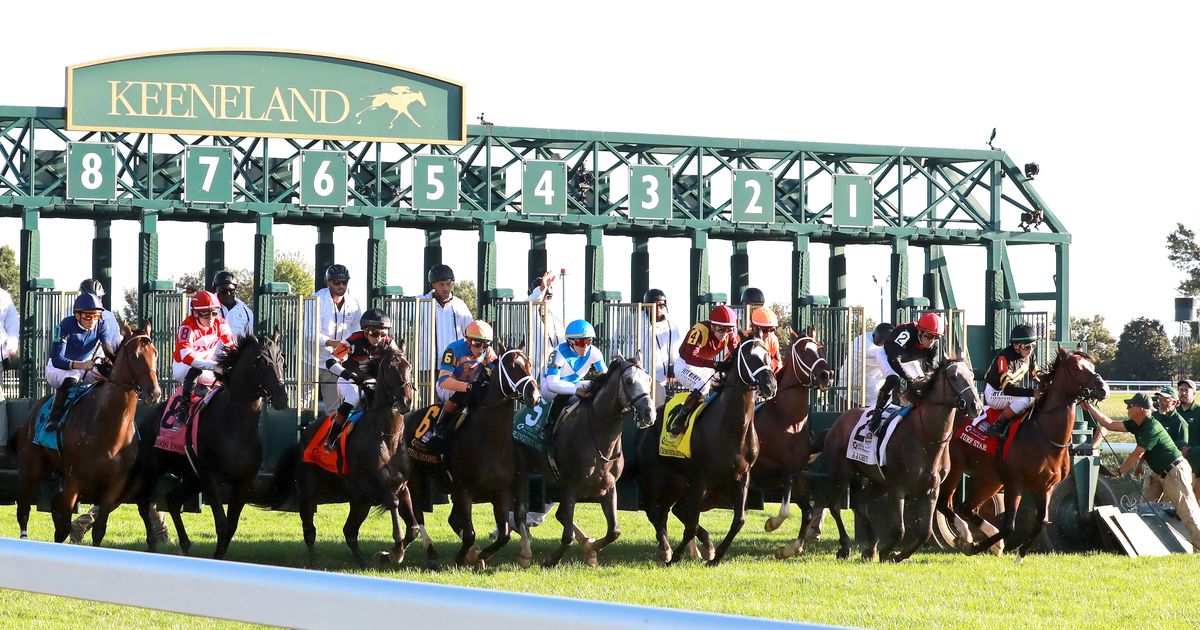 Newly formed Horse Racing League signs up Godolphin, WinStar, Gary Barber, and Vinnie Viola