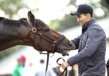 Kentucky Derby 2026: Golden Tempo has cracked heels; Renegade to wear special shoes