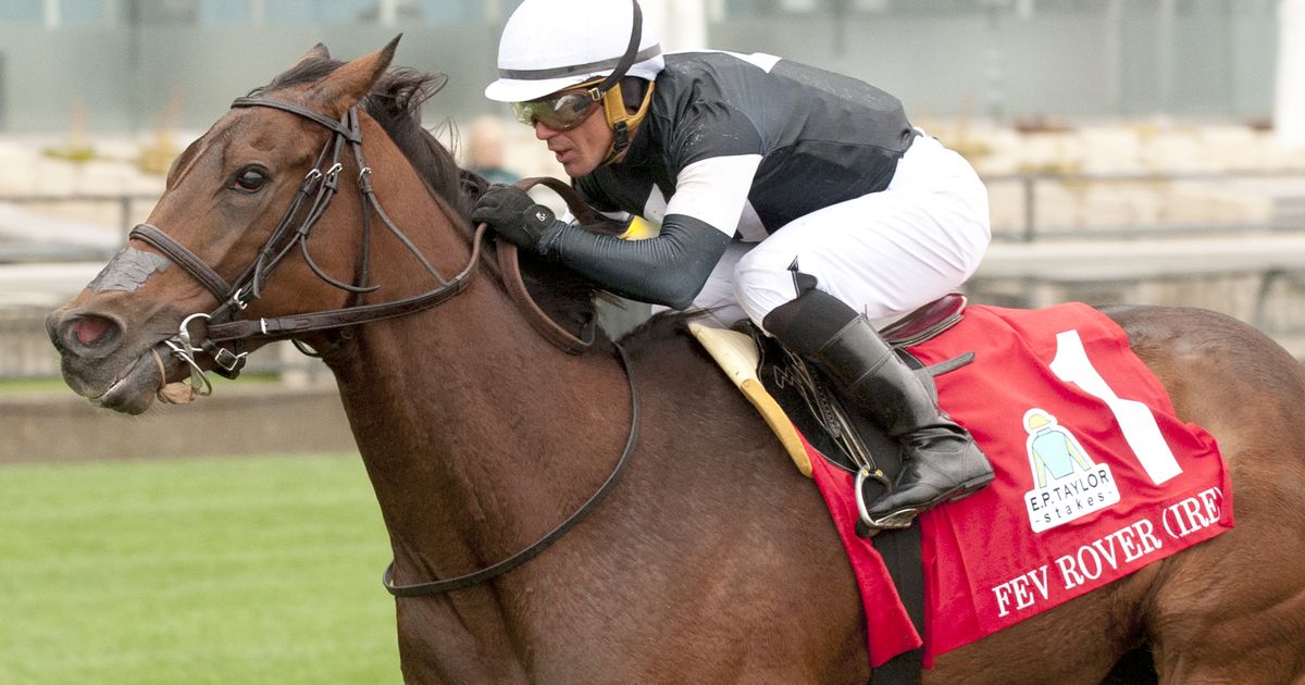 2023 Sovereign Awards: Fev Rover named Canadian Horse of the Year