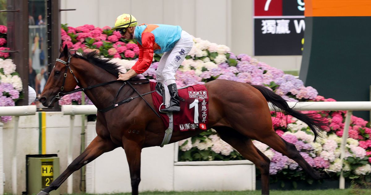 Luke Middlebrook's Hong Kong Selections and Analysis for Saturday ...