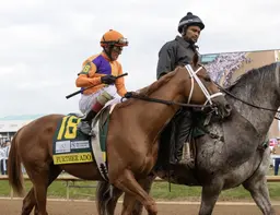 Further Ado narrowly favored over Napoleon Solo in Haskell
