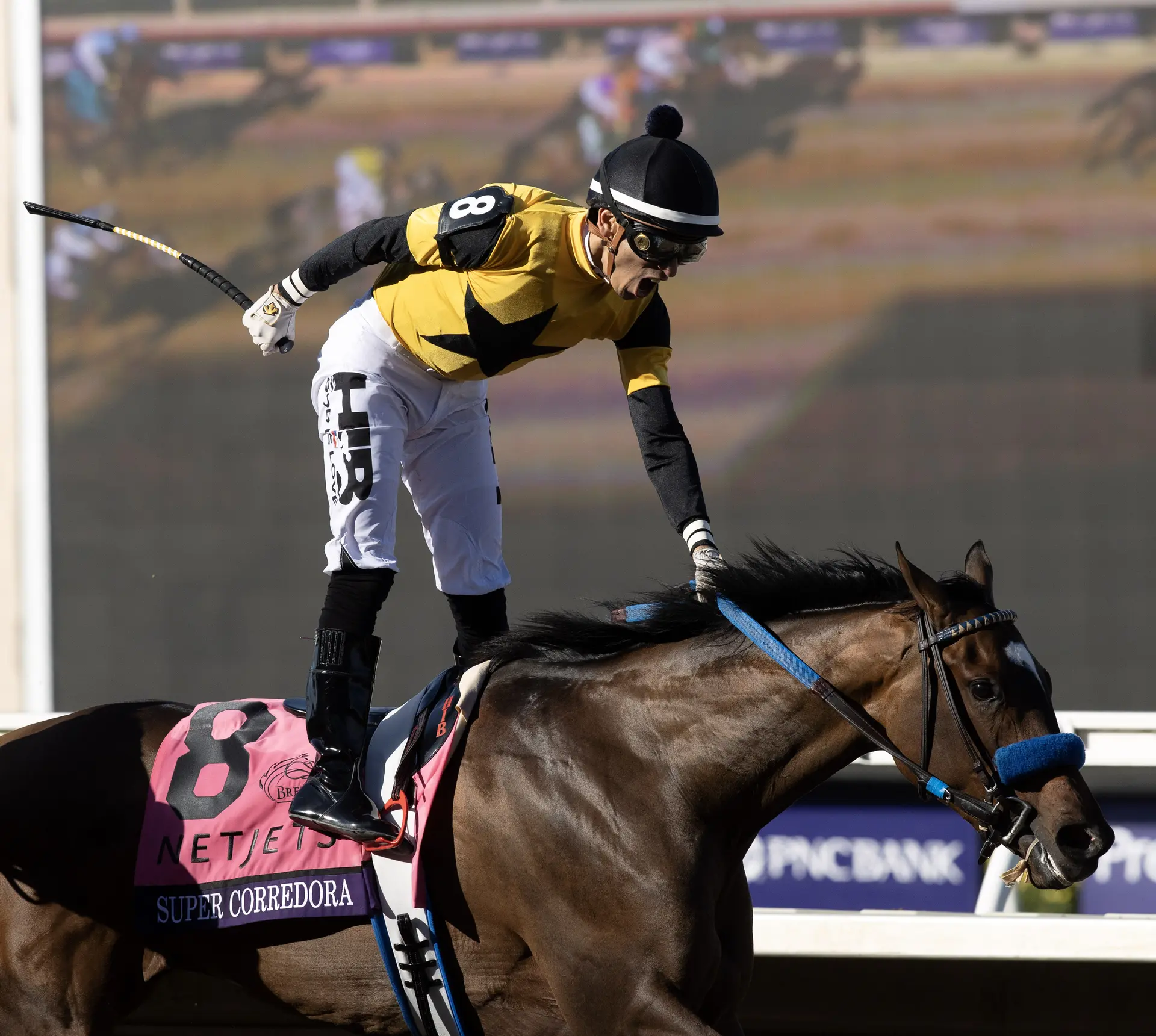 Breeders' Cup Juvenile Fillies: Super Corredora wires field
