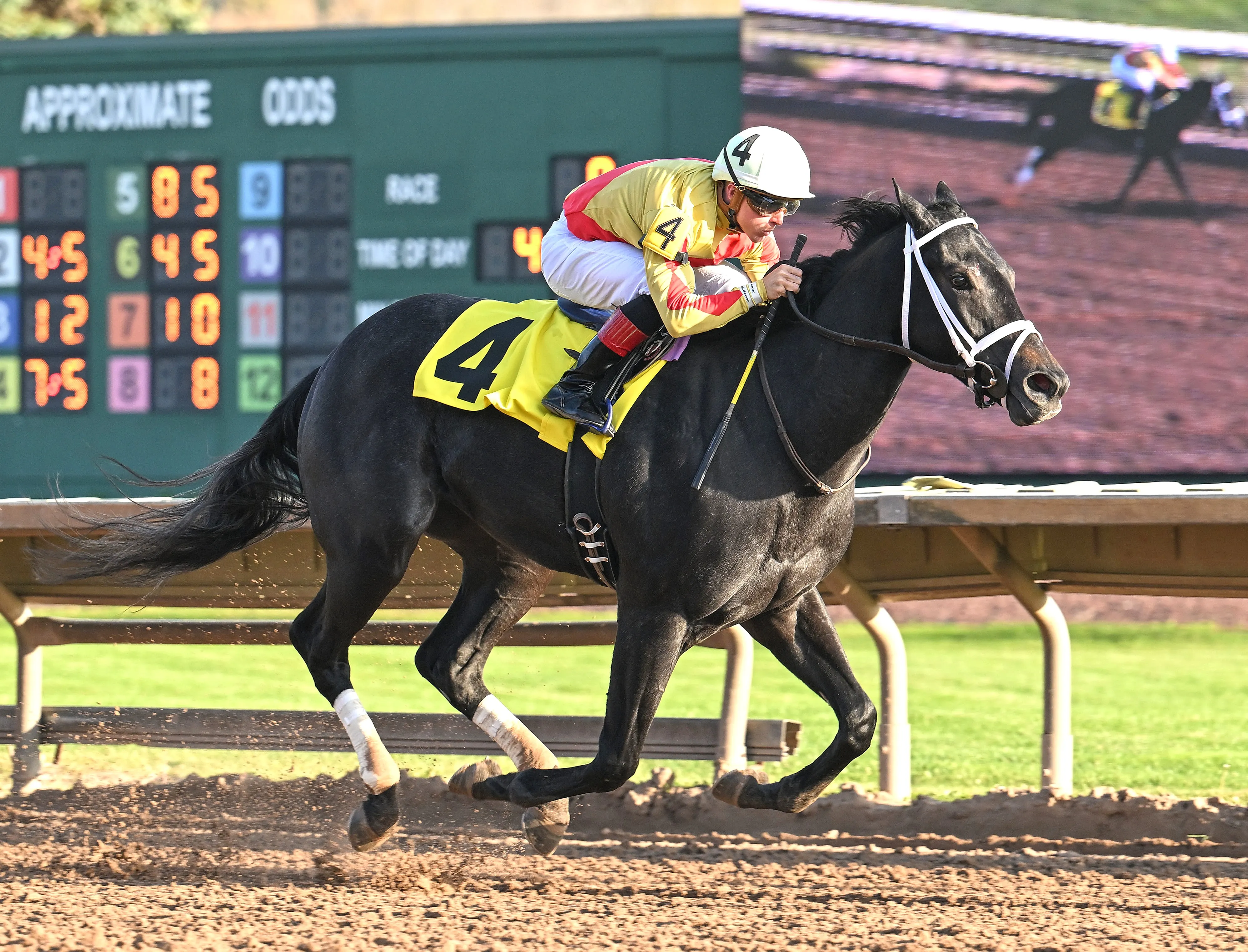 Bold Fortune wins New York Breeders' Futurity at FL Oct 21 2024