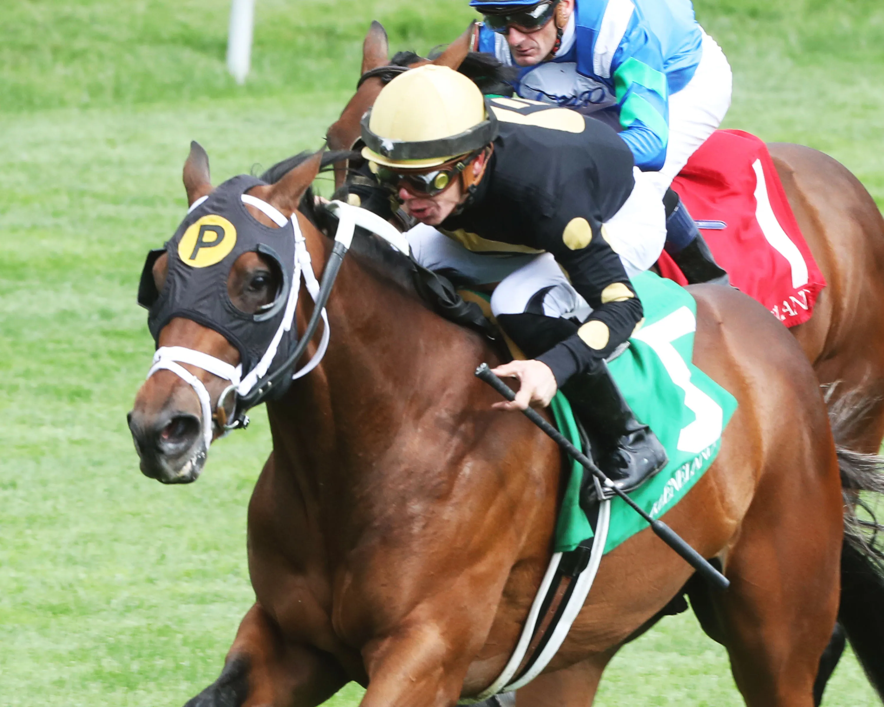 GASLIGHT DANCER - The Palisades - 17th Running Of  - 04-16-23 - R07 - Keeneland Race Course - Inside Finish 01.jpg