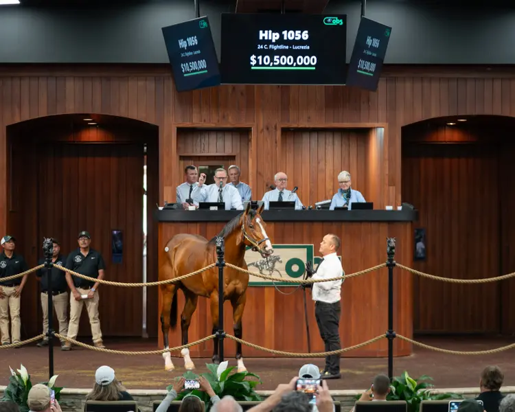 OBS Hip No. 1056.$10.5M Flightline03.4.17.26.OBS_VidHorse Photo.jpg