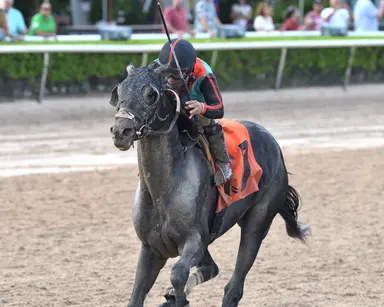 Sunshine Classic lures pair of prior winners