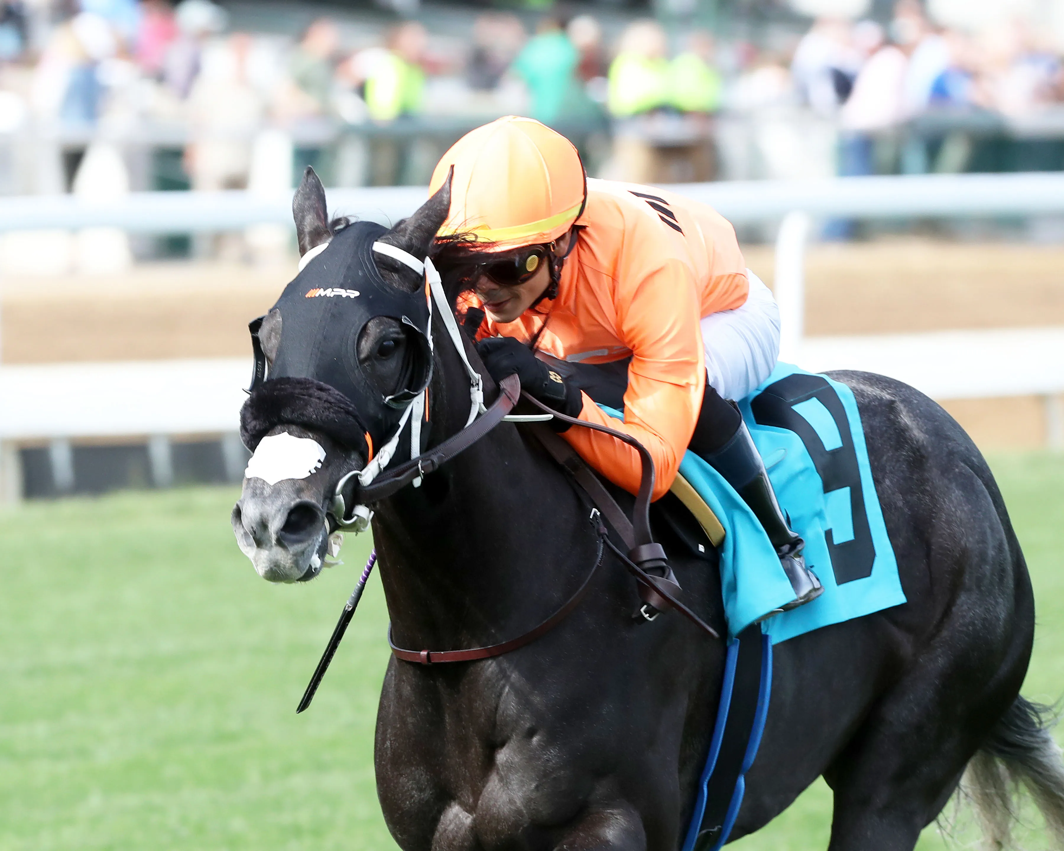SHISOSPICY - The Mamzelle G3 - 05-10-25 - R10 - Churchill Downs - Inside Finish 01 - John Gallagher.jpg