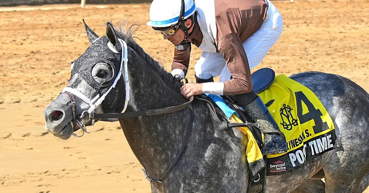 Post Time puts amazing local streak on line in Maryland Million Classic