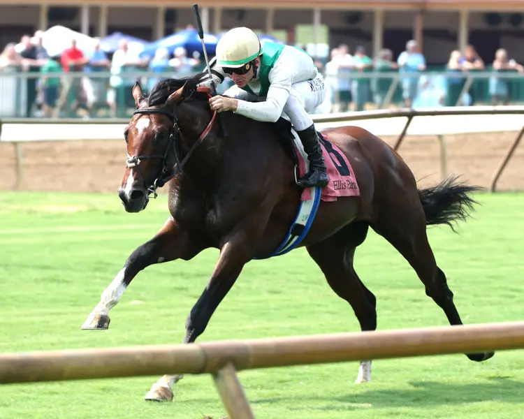 CAMEO PERFORMANCE - KY Downs Preview Nashville Derby - 3rd Running - 08-03-24 - R08 - Ellis Park - Inside Finish 01.jpg