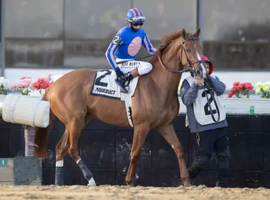 Brown putting Paladin on familiar path with Risen Star up next