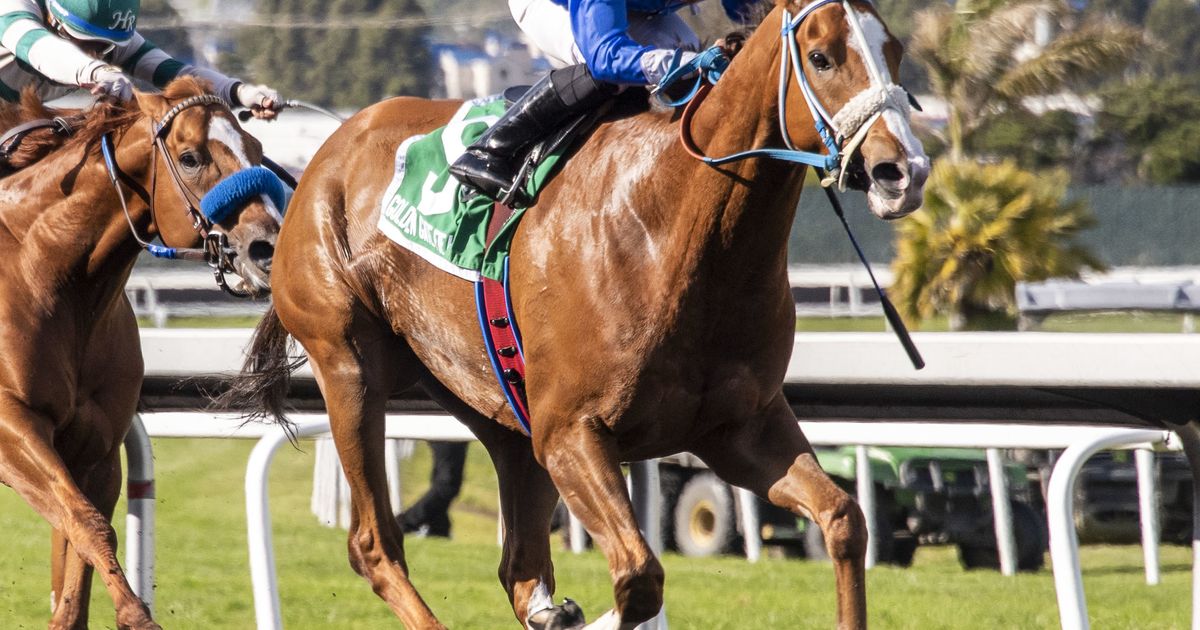 I'mgonnabesomebody looks to repeat in Sam Spear Memorial