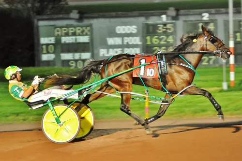 Lyons Legend 7-16-23